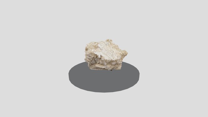 Rock118 3D Model