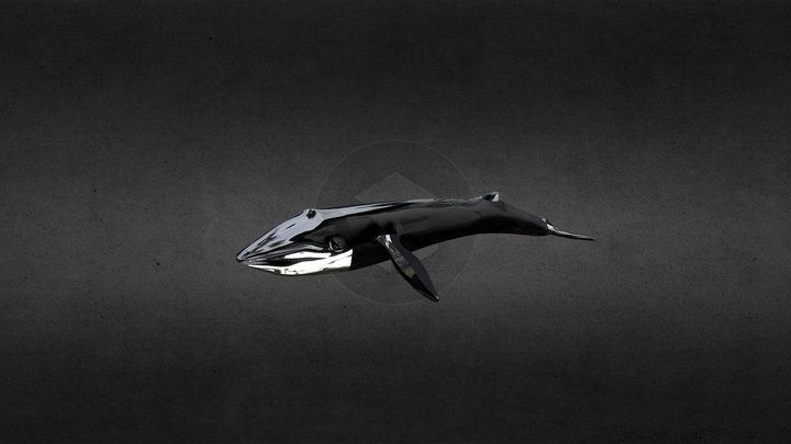 Blue Whale – Modello 3D gratuito STL