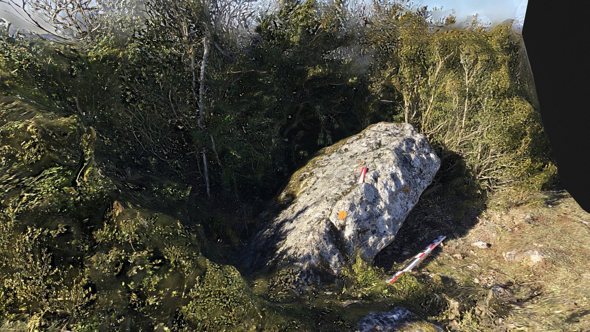 Table de dolmen, Canals, Larzac, France