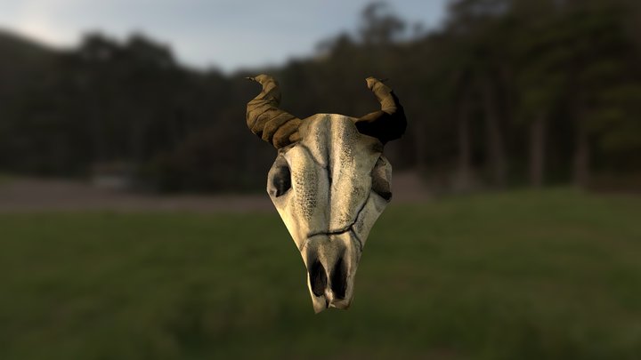 Ram skull 3D Model