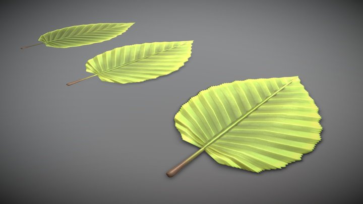Hornbeam Leaf (Low-Poly) 3D Model