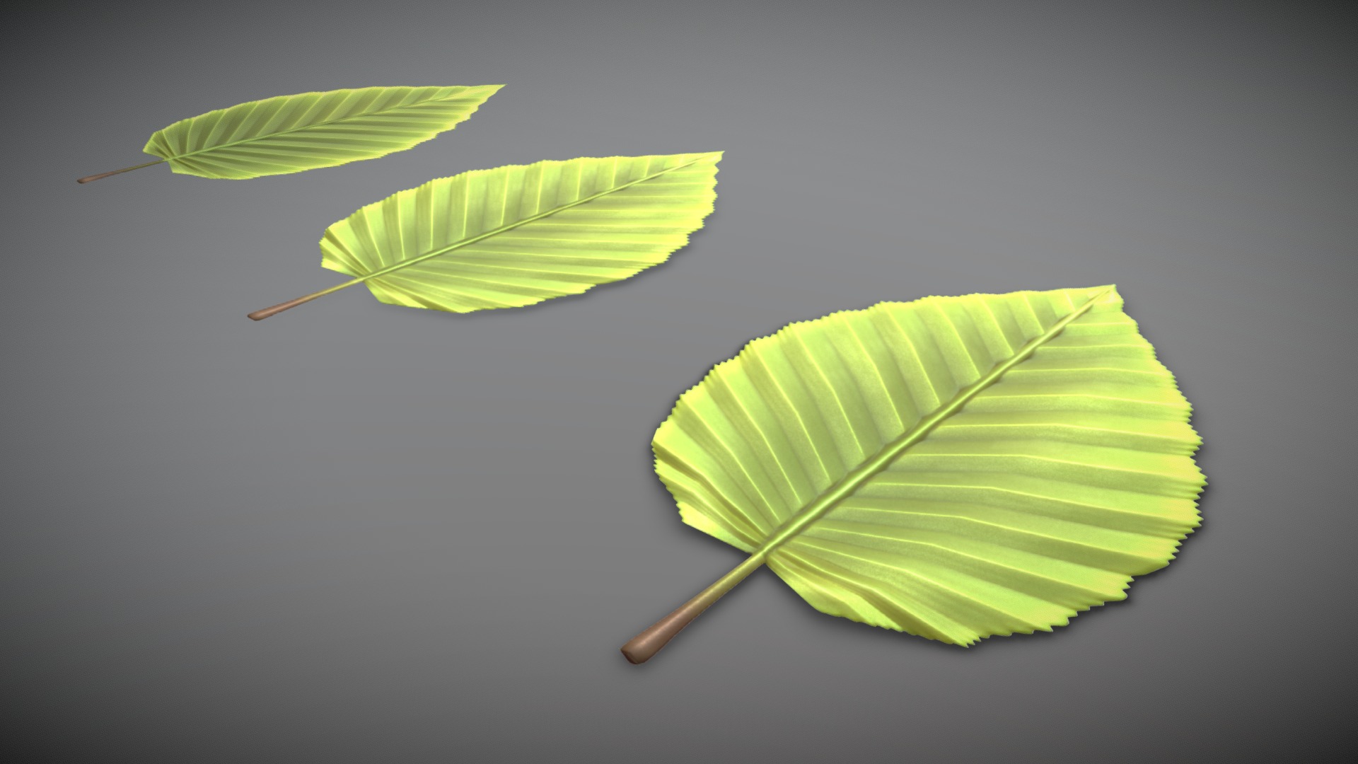 3D model Hornbeam Leaf (Low-Poly) - This is a 3D model of the Hornbeam Leaf (Low-Poly). The 3D model is about a few leaves on a stick.