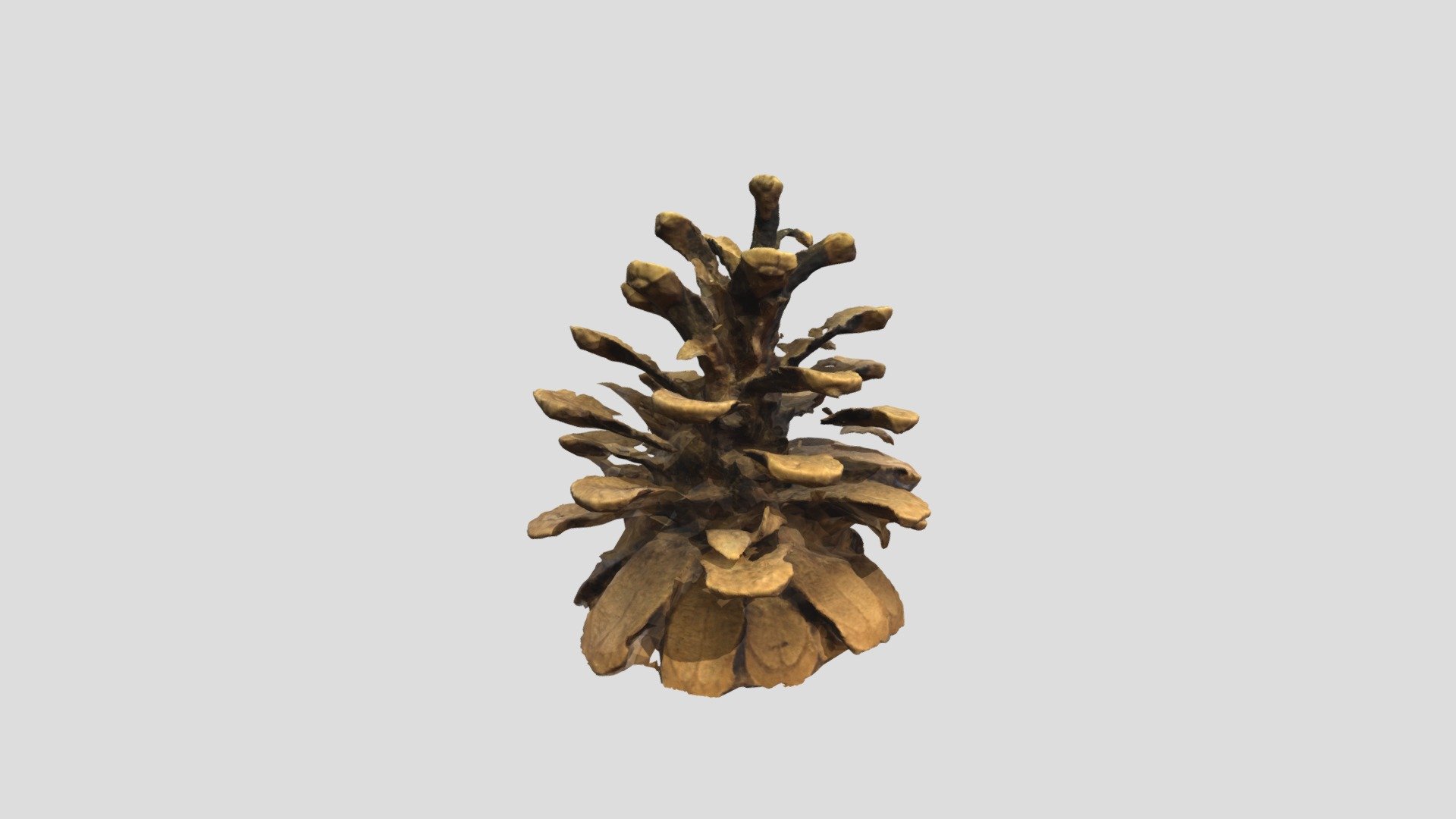 Cone - Download Free 3D model by Kefir0206 [e486937] - Sketchfab