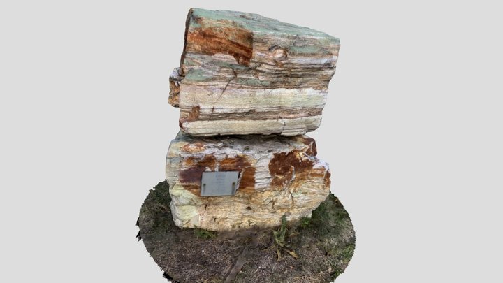 Gyöngyössolymosi riolit (Tatai Geológus Kert) 3D Model
