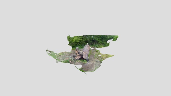 Big fallen tree Kiri without mask – Modèle 3D gratuit STL