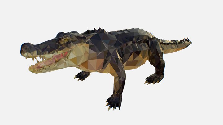 Low Poly Art Crocodile Reptile 3D Model