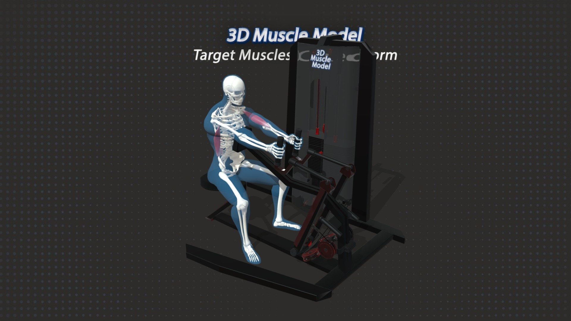Row Rear Delt Machine For Effective Muscle Engagement And Growth