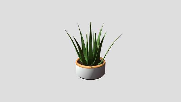 Aloe Plant Potted 3D Model