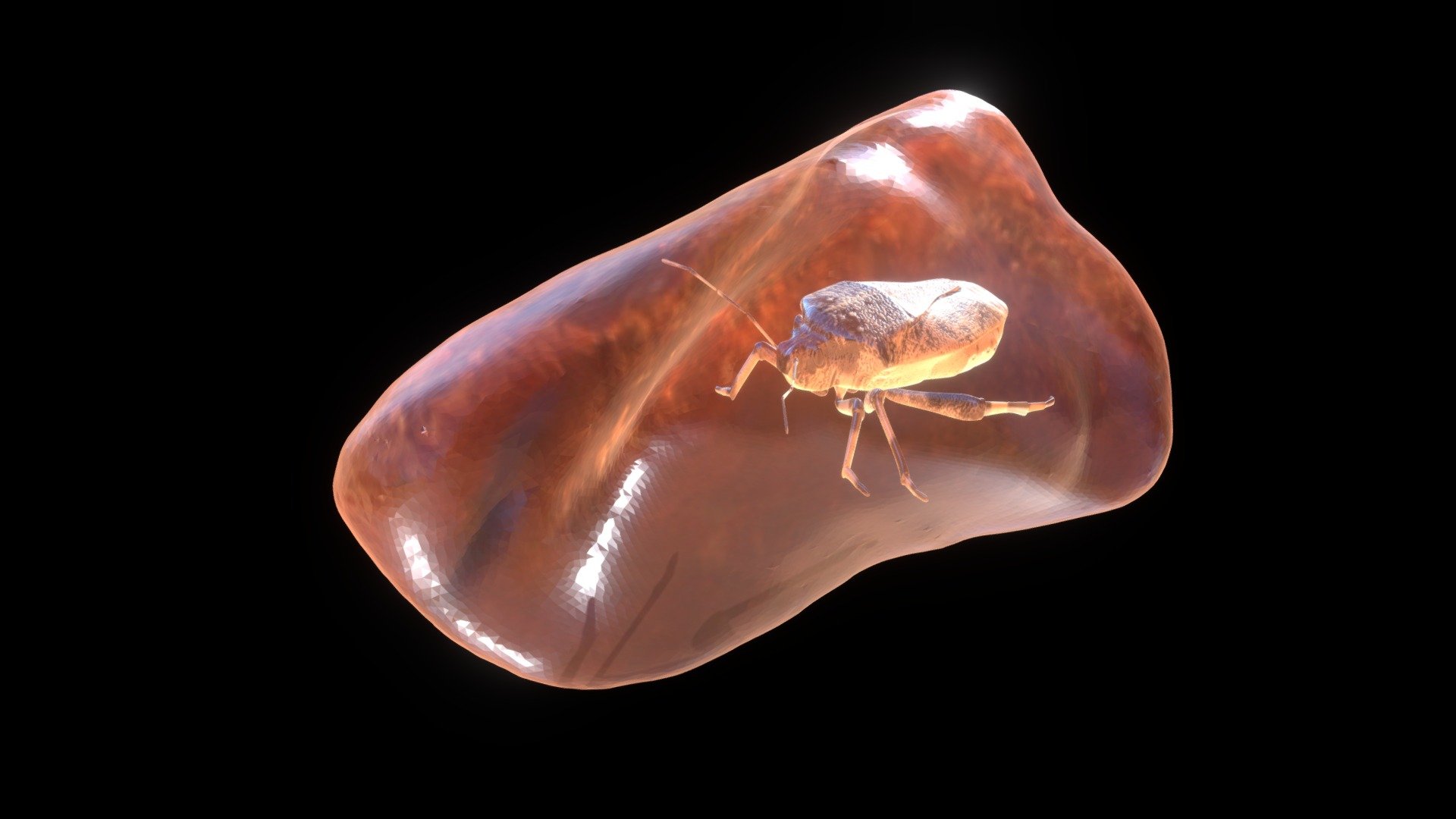 amber02