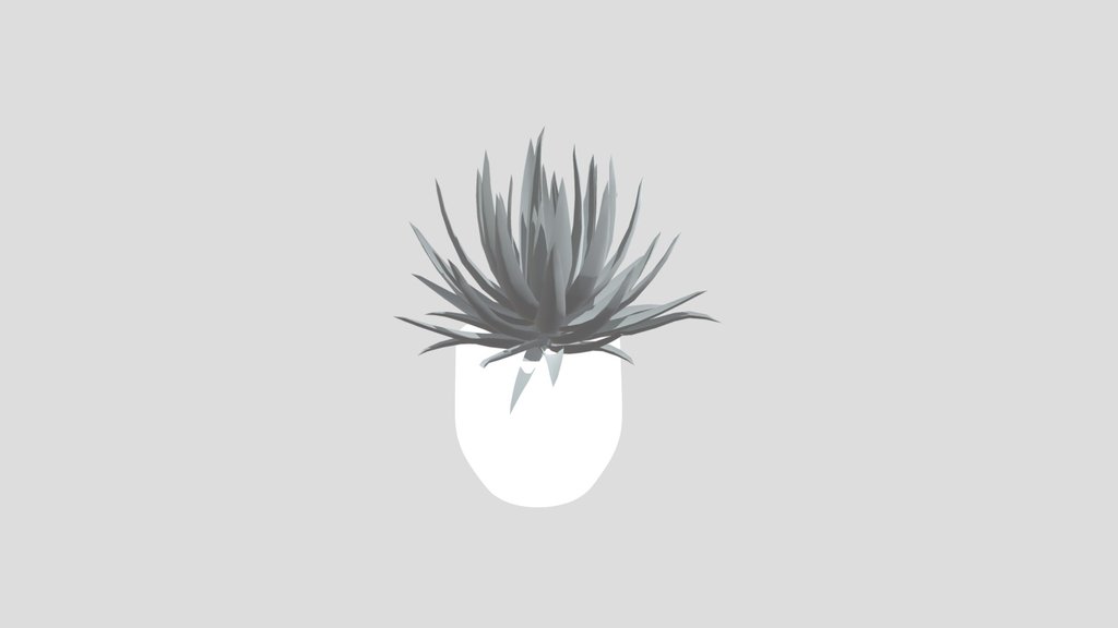 Plant Lech Agave Pot