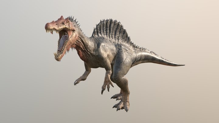 สไปโนซอรัส 3D Model