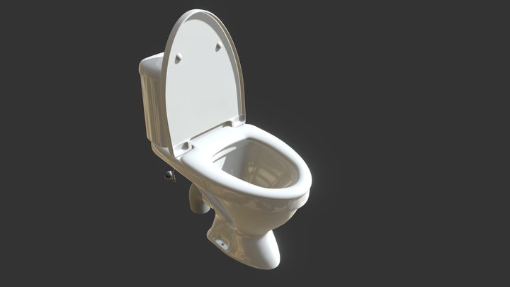 Toilet/Lavatory | High Poly Asset 3D Model
