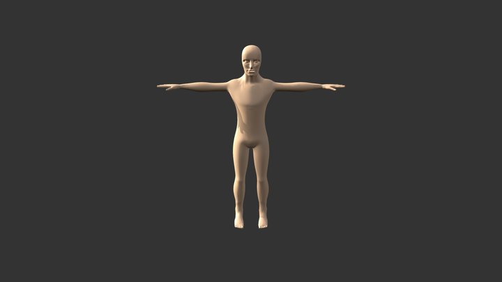 Modelado Cuerpo Humano 3D Model