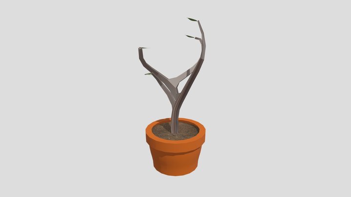 Plant 3D Model