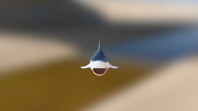 shark2 3D Model