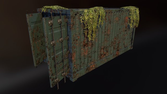 Old cargo container 3D Model