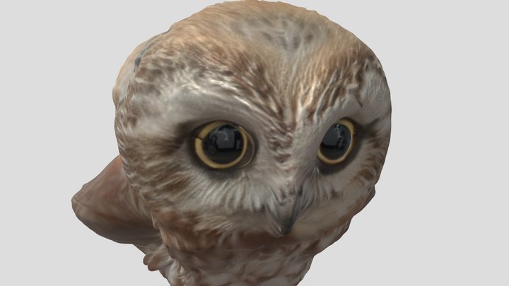 Cute owl (AI) 3D Model