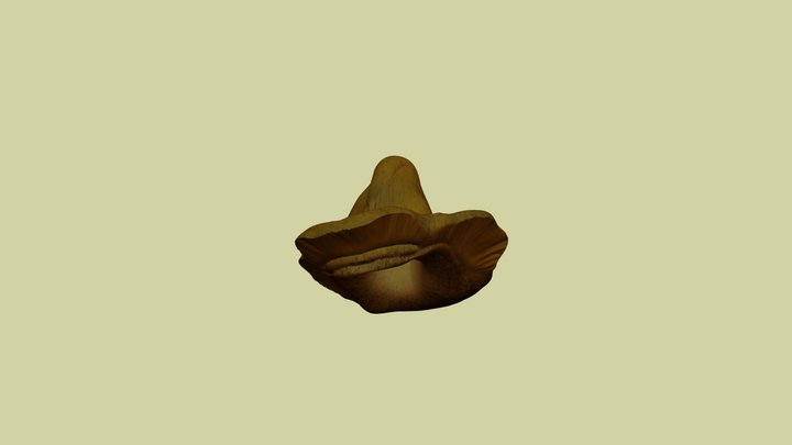 Farmer hat – Modello 3D gratuito STL