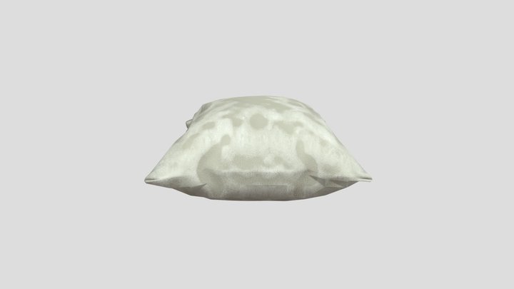 Old Moldy Pillow 3D Model