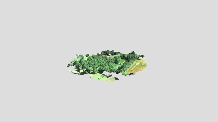 KNAPTON 230622 DRONE_simplified_3d_mesh 3D Model