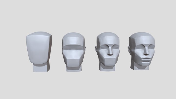 Head_volumes_structure 3D Model