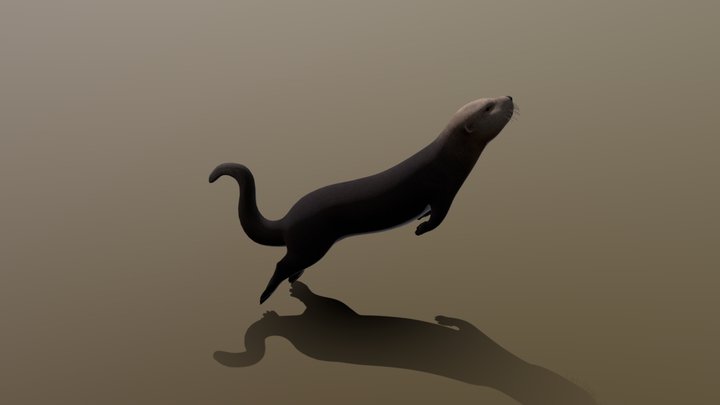 Otter 3D Model