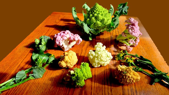 Cauliflower Varieties 3D Model