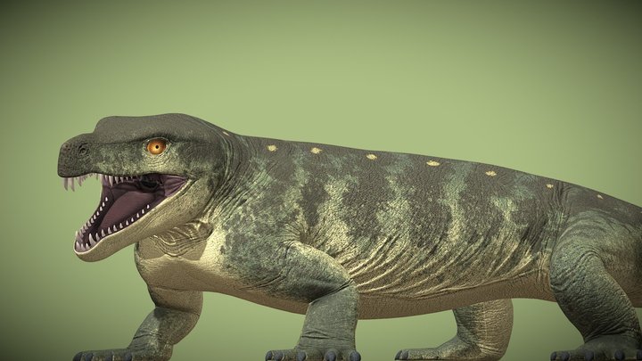 Limnoscelis paludis – Kostenloses 3D-Modell STL