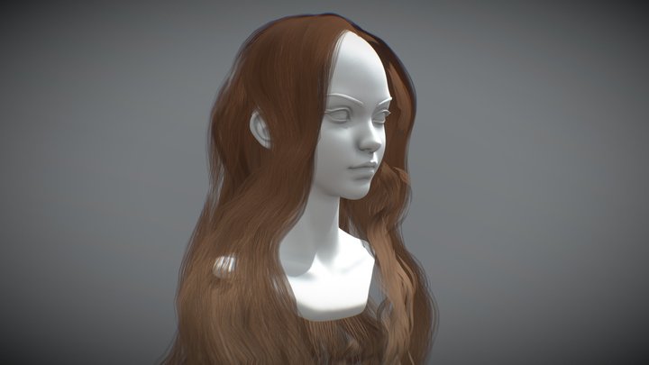 Long Wavy Hair – Free 3D Model STL