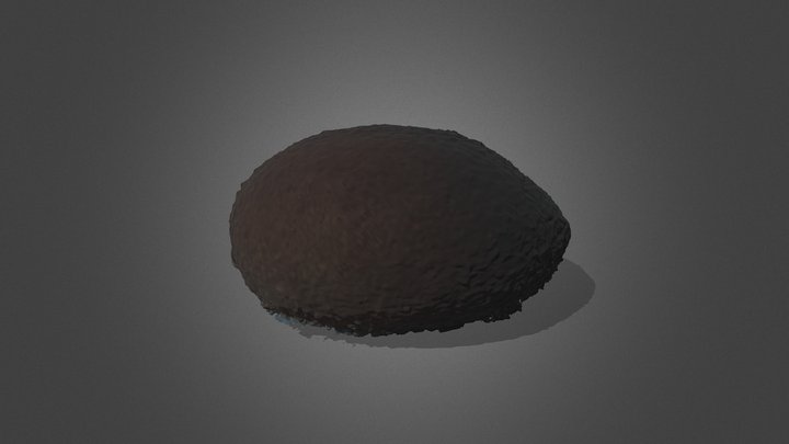 Pouteria sapota - Mamey Sapote - Große Sapote 3D Model