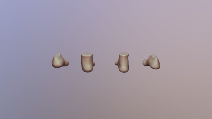 Barbier Comp 2 3D Model