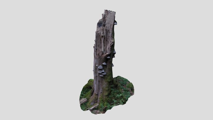 living dead tree 3D Model