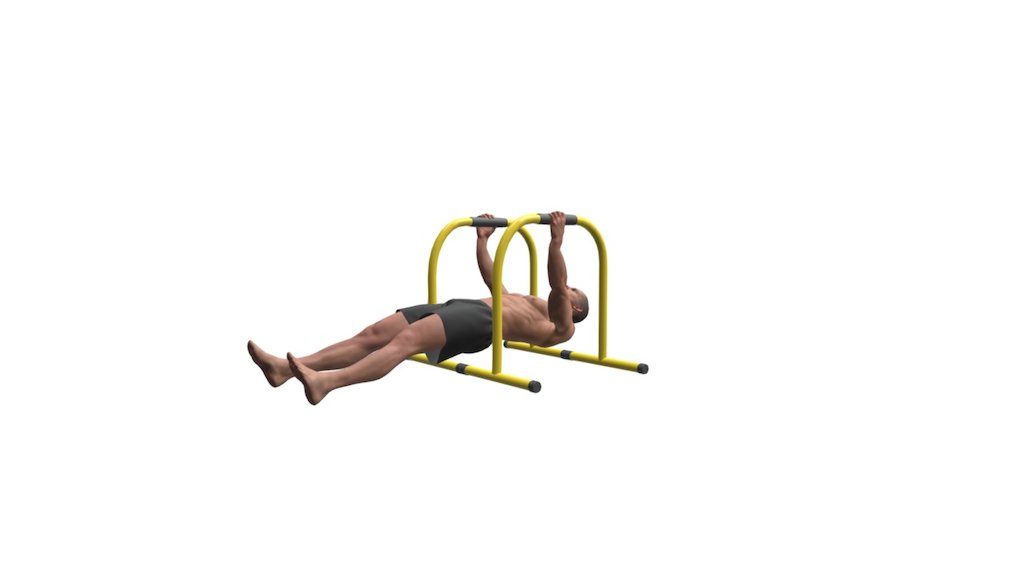 Lebert Inverted Rows - 3D model by gymsterapp [e4c88e8] - Sketchfab