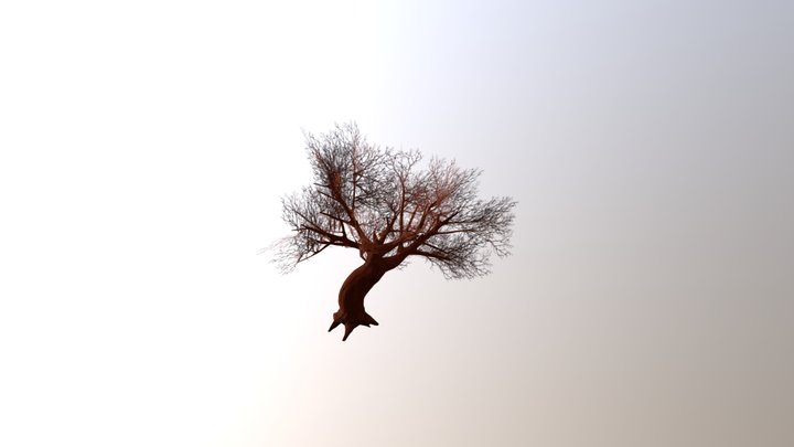 Arvore 01 2 3D Model