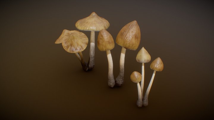 Mushrooms 3D Model