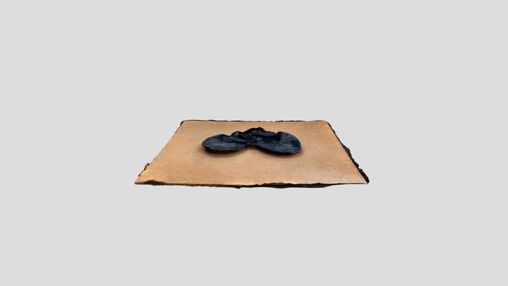 Leather Eclipse Ballet Shoes (Black) 3D Model