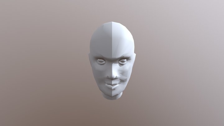 Head Model 3D Model