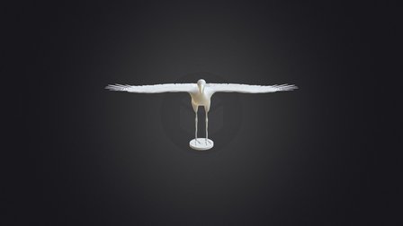 Zwin Museum - Ooievaar 3D Model