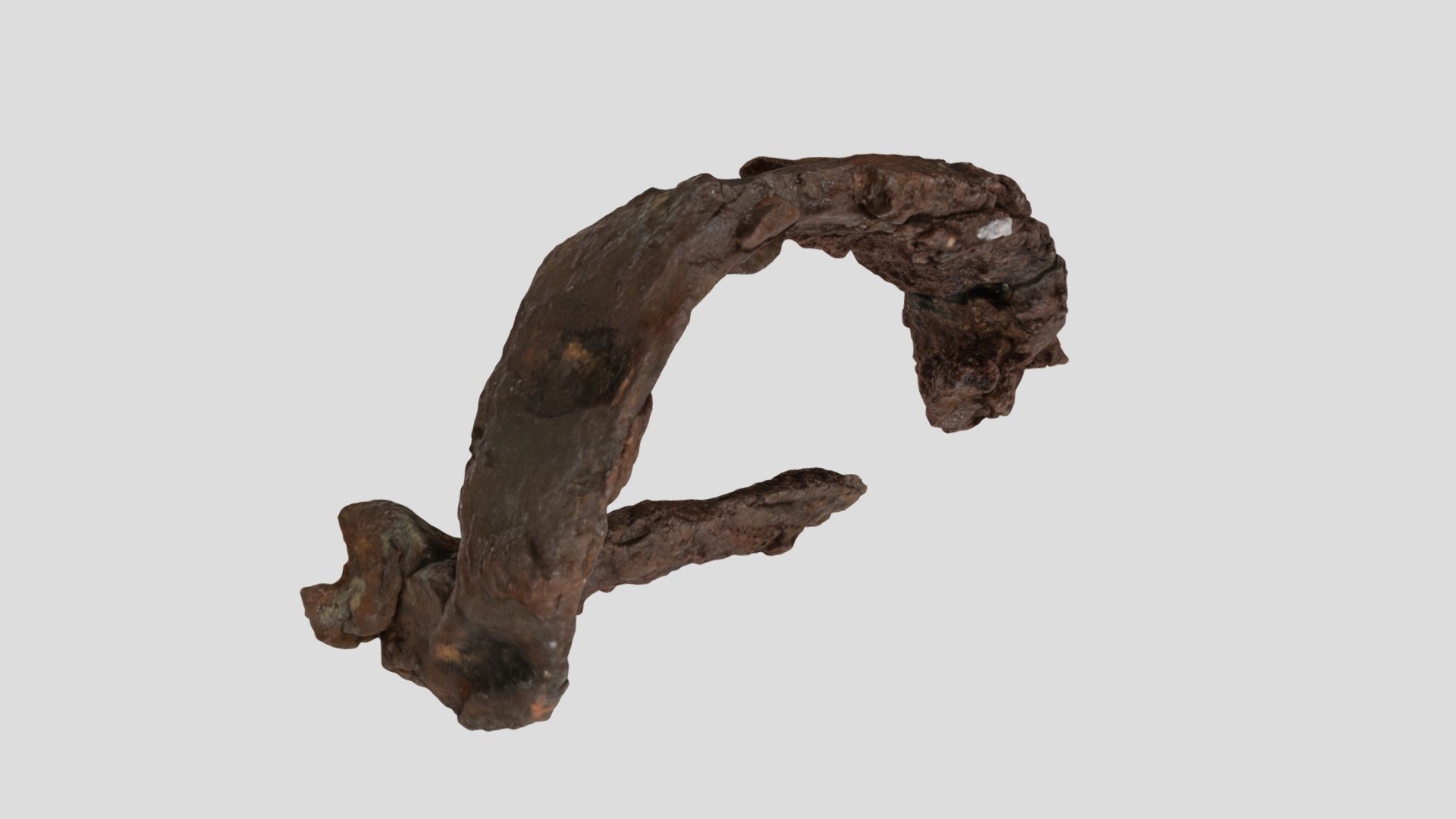 Iron fibula 3D model by Saaremaa Museum (SaaremaaMuseum) [e4cf476