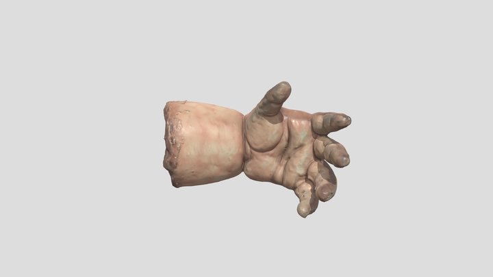 Hansel & Gretel - Baby Hand Prop Scan 3D Model