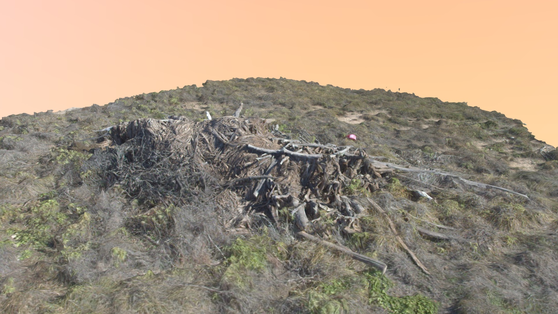 3D model brush pile 1 - This is a 3D model of the brush pile 1. The 3D model is about a hill with a pile of debris.