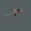 Low Poly Spider - Walk Cycle - Download Free 3D model by volkanongun ...