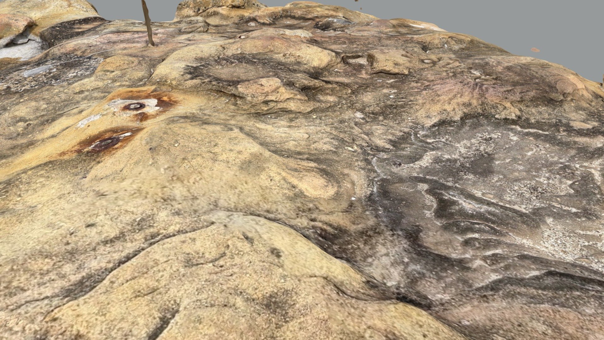 Rocky and Stoney Area At North Bondi