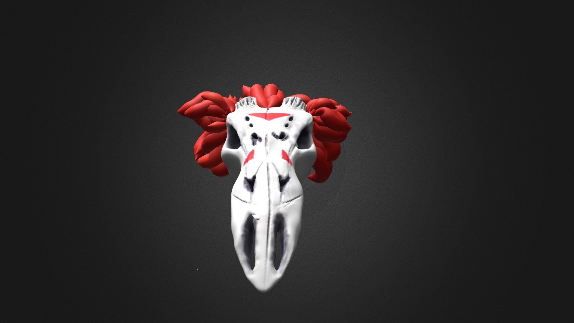 Braceyfinal