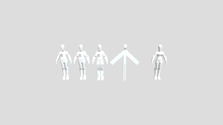 DeBlock Whole Body 3D Model