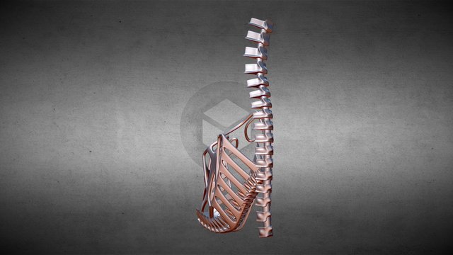 Skeleton High Heels 3D Model
