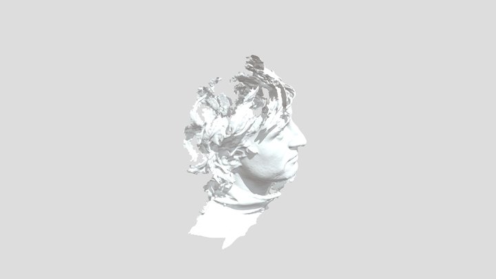 3d-scan-of-me 3D Model