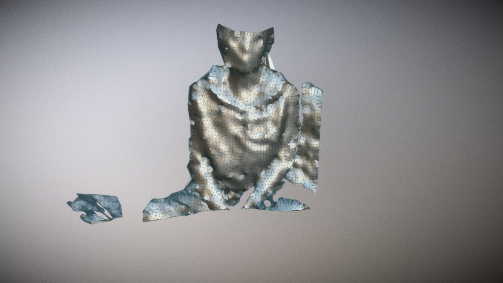4D video (R200 #01, no texture)