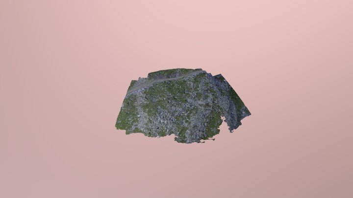 Section of ancient Rock Glacier 3D Model