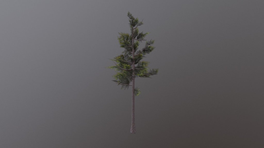 Tree Tex